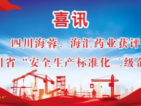 海蓉、海匯藥業(yè)獲評(píng)“安全生產(chǎn)標(biāo)準(zhǔn)化二級(jí)企業(yè)”