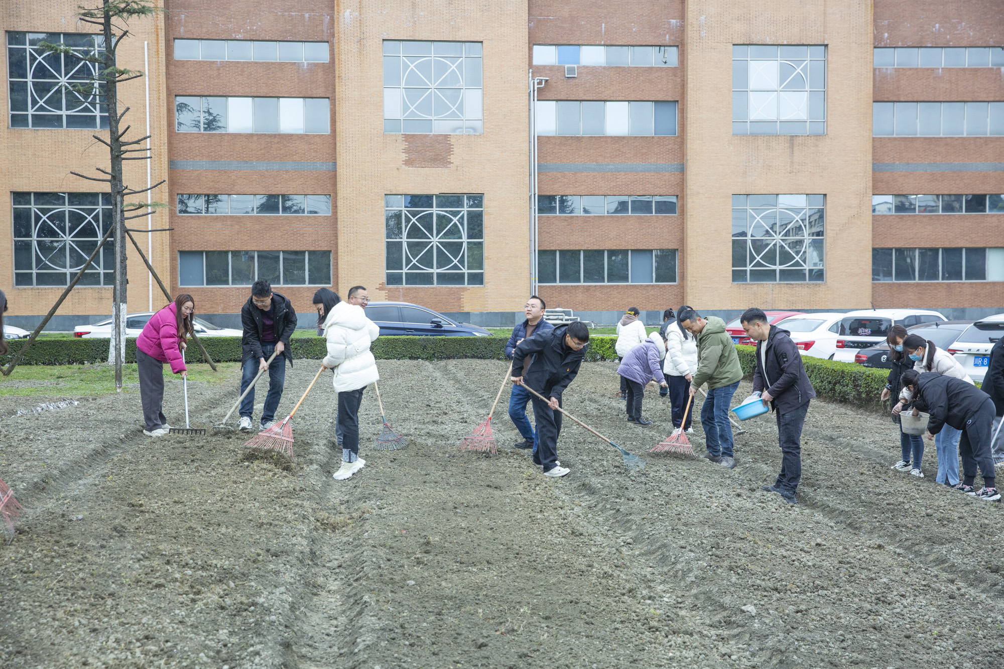 植樹節(jié) | 四川海蓉開展“植此青綠，擁抱春天”植樹節(jié)活動(dòng)